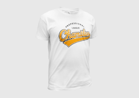 CHAMÄLEON tričko PROFFESIONAL LEAGUE - X: 3XL